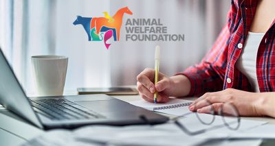 AWF announces desk-based research grants